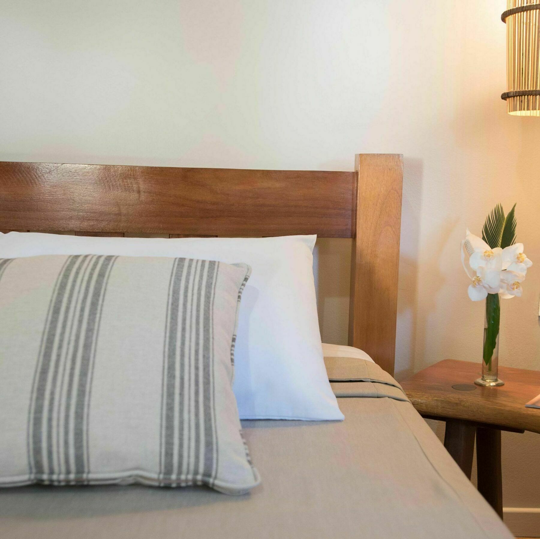 Htl Tubarao Hotel Barra Grande  Kültér fotó