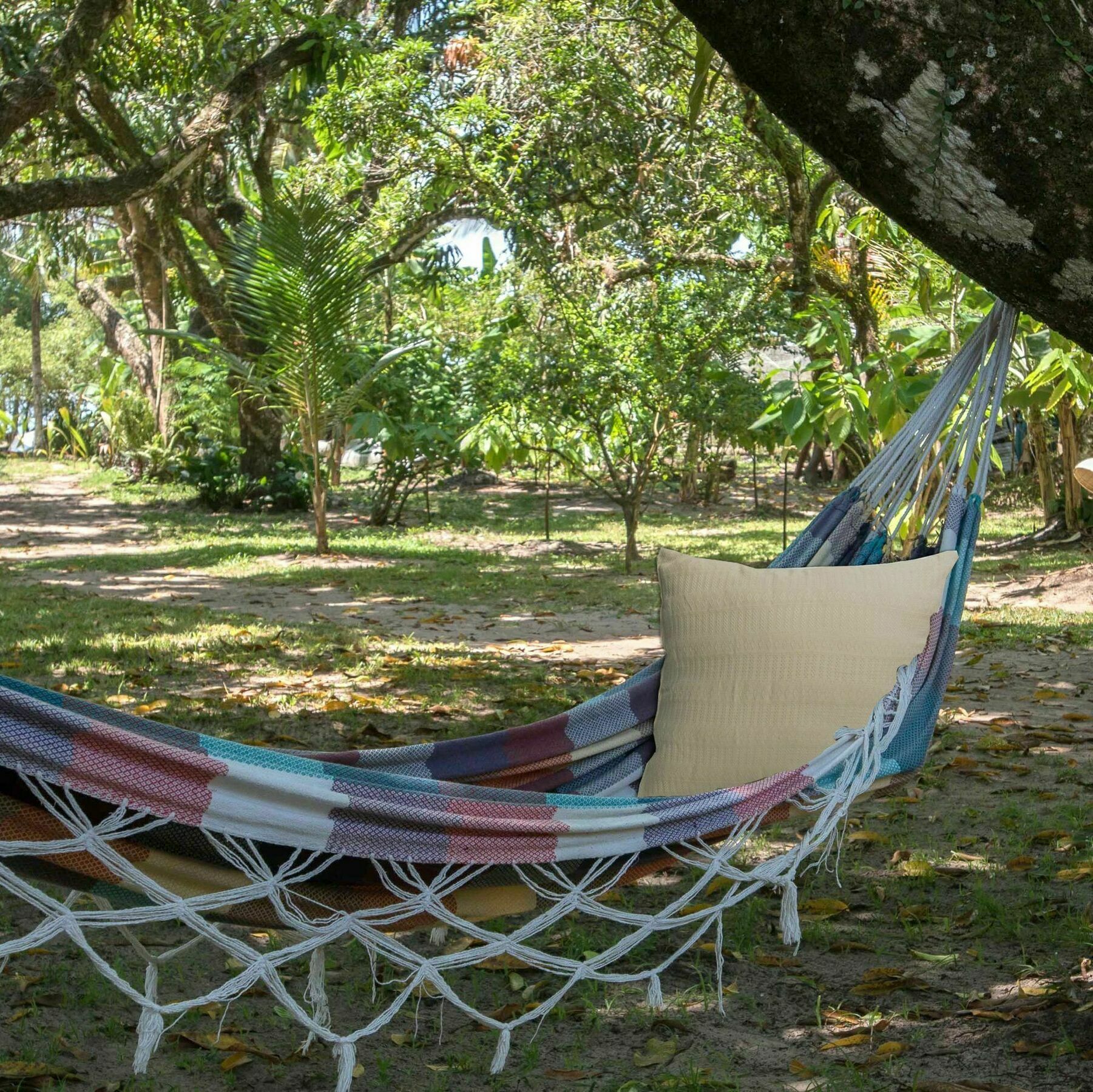 Htl Tubarao Hotel Barra Grande  Kültér fotó